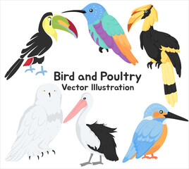 Naklejka premium Bird and Poultry Vector Illustrations Vibrant Tropical Birds Including Toucan Owl Kingfisher and Pelican in Cartoon Style for Creative Decorative and Educational Use
