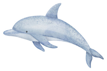 Dolphin watercolor illustration in pastel blue colors. Drawing of flippered mammal marine animal for childish greeting cards or baby invitations. Art of Porpoise for nursery wall art