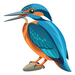 Obraz premium Photo of kingfisher flying isolated on white background