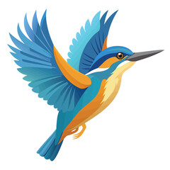 Photo of kingfisher  flying isolated on white background