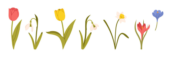 Spring flowers set. Floral botanical elements with cute spring flowers and leaves. Floral plant branches, stems with blooming blossoms and leaf. Tulips, snowdrops, crocuses, lilies. Flat vector