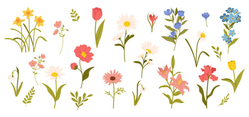 Spring flowers set. Floral botanical elements with cute spring flowers and leaves. Floral plant branches, stems with blooming blossoms and leaf. Tulips, snowdrops, crocuses, lilies. Flat vector