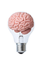 Human brain inside a light bulb representing the power of thinking