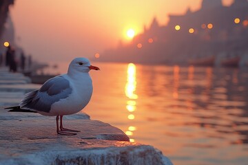 A lone seagull perches at the edge of a pier, looking out to sea