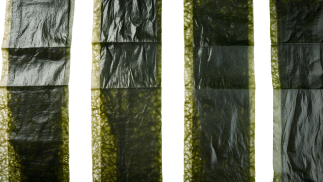 Nori isolated on transparent background
