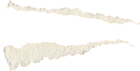 Ripped torn paper edges isolated on white background