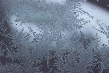 The photo captures delicate and intricate snowflakes, each uniquely crafted with its geometric patterns. They gently settle on a pristine blanket of soft snow, evoking a sense of fragility and purity.