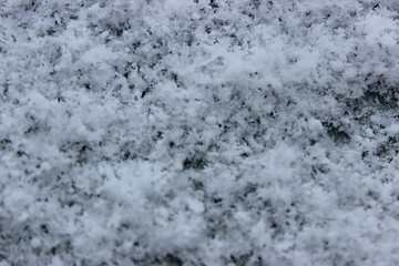 The photo captures delicate and intricate snowflakes, each uniquely crafted with its geometric patterns. They gently settle on a pristine blanket of soft snow, evoking a sense of fragility and purity.