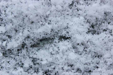 The photo captures delicate and intricate snowflakes, each uniquely crafted with its geometric patterns. They gently settle on a pristine blanket of soft snow, evoking a sense of fragility and purity.