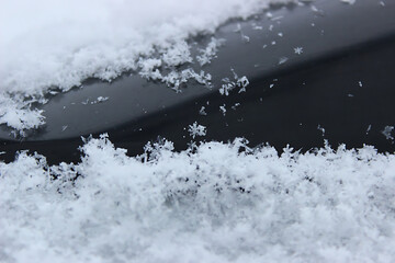 The photo captures delicate and intricate snowflakes, each uniquely crafted with its geometric patterns. They gently settle on a pristine blanket of soft snow, evoking a sense of fragility and purity.
