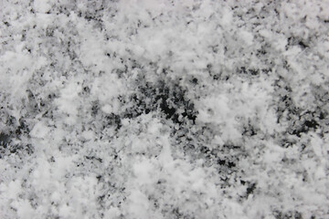 The photo captures delicate and intricate snowflakes, each uniquely crafted with its geometric patterns. They gently settle on a pristine blanket of soft snow, evoking a sense of fragility and purity.