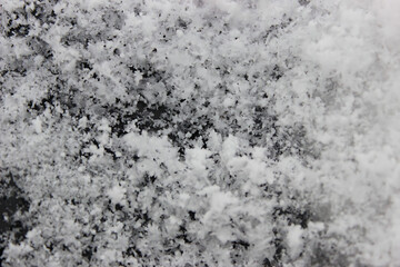 The photo captures delicate and intricate snowflakes, each uniquely crafted with its geometric patterns. They gently settle on a pristine blanket of soft snow, evoking a sense of fragility and purity.