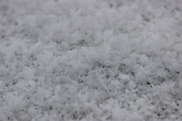 The photo captures delicate and intricate snowflakes, each uniquely crafted with its geometric patterns. They gently settle on a pristine blanket of soft snow, evoking a sense of fragility and purity.