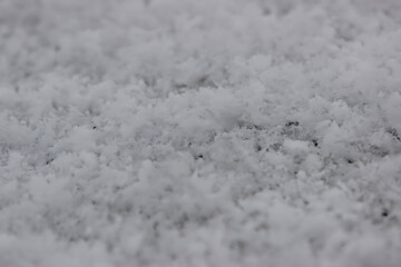 The photo captures delicate and intricate snowflakes, each uniquely crafted with its geometric patterns. They gently settle on a pristine blanket of soft snow, evoking a sense of fragility and purity.