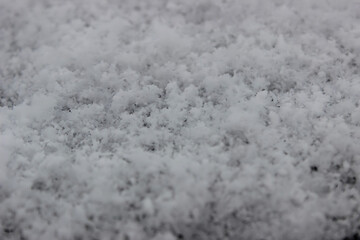 The photo captures delicate and intricate snowflakes, each uniquely crafted with its geometric patterns. They gently settle on a pristine blanket of soft snow, evoking a sense of fragility and purity.