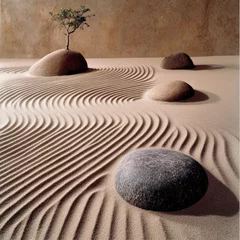 Photo sur Plexiglas Zen Sand Garden with Stones and Minimalist Tree Artistry