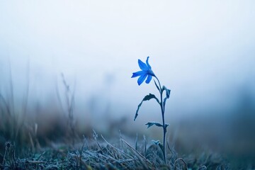 Obraz premium A single blue flower sits in the middle of a green field