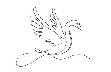 one line drawing of a swan with open wings © Kaz