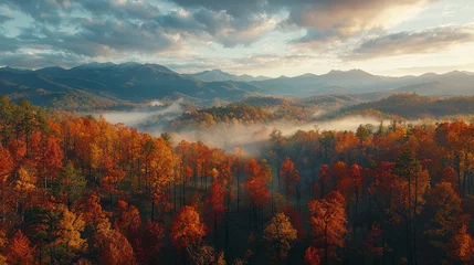 Fotobehang An impressive autumn sunrise landscape with brilliant foliage and soft mist over undulating mountains, capturing the exquisite beauty and tranquility of nature's transitions. © Barosanu