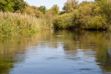 Naturschutzgebiet Taubergießen / Altrhein am Oberrhein