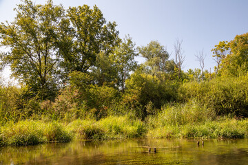 Naturschutzgebiet Taubergießen / Altrhein am Oberrhein
