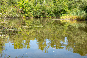 Naturschutzgebiet Taubergießen / Altrhein am Oberrhein