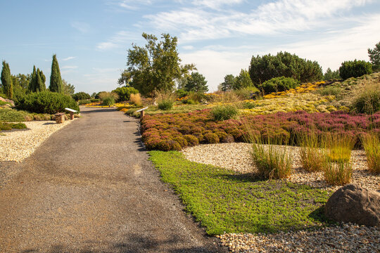 Kiesweg durch bl&uuml;hendes Heidebeet im Findlingspark Nochten