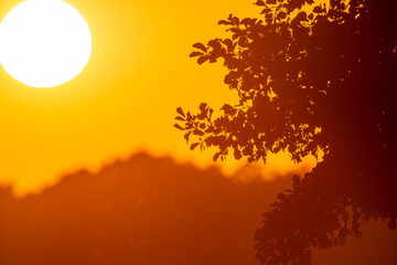 Sonnenuntergang am Röddelinsee, Templin, Brandenburg