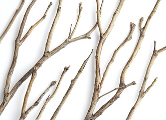 Dried tree branches against a white background, high-definition photography. --ar 128:93 --v 6.1 Job ID: 55bba999-3d7b-4877-988e-2f0fc7de82de