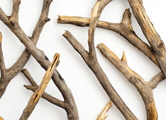 Fototapeta premium Dried tree branches against a white background, high-definition photography. --ar 128:93 --v 6.1 Job ID: dc965800-eb58-49e1-be46-99fe52921499
