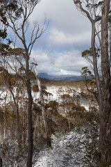 Walls of Jerusalem National Park, Tasmania, Australia. Lookout to Cradle Mountain National Park,...