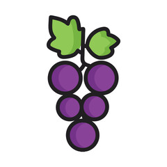 A bunch of purple grapes with green leaves a simple illustration