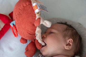 Baby: Spielen und Schlafen im Wechsel