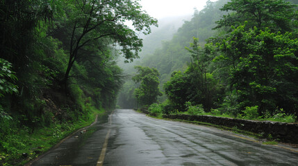 Obraz premium Rainy Road Through Lush Green Forest Mountains on a Cloudy Day Landscape