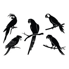 Black bird silhouette vector illustration set white background