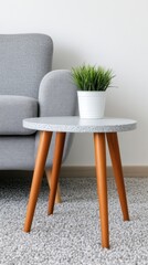 A cozy living room with a grey sofa and a small round table featuring a potted plant, showcasing a minimalist loft style.