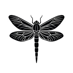 dragonfly vector image illustration and artwork silhouette on white background