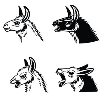 Black and white lama angry face silhouette