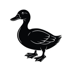 duck vector image illustration and artwork silhouette