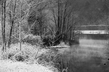 Obraz premium Winter