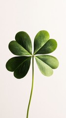 A cinematic still of a four-leaf clover isolated against a bright white background, showcasing its vibrant green leaves and delicate texture.