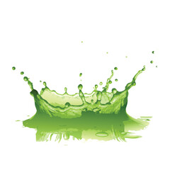 green liquid splash  on white background
