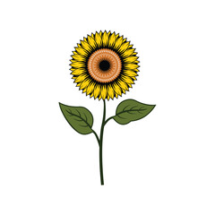 sunflower vector design isolated	