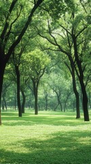 Fototapeta premium Lush green lawn in an urban public park, surrounded by tall trees under a bright, serene sky, captured in a cinematic style.