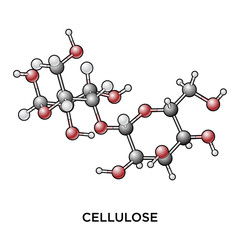 Cellulose Ball and Stick Molecule