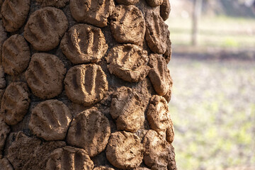Handmade cow dung cakes, known as lakri, drying in the sun. A traditional and eco-friendly fuel source for cooking in rural Bangladeshi households.