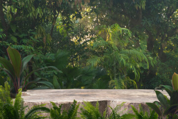 Wood stump podium table top on grass outdoors in tropical forest nature background.natural product present pedestal wooden stand display,healthy life or eco concept.