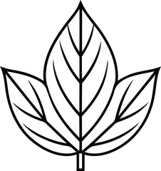 Beautiful Leaf silhouette vector illustration, Leaf line art, Leaf isolated vector icon