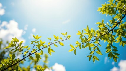 Vibrant green leaves on a branch against a bright sunny sky, showcasing the beauty of nature's springtime renewal.