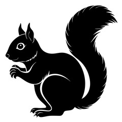Squirrel Silhouette vector with white background
